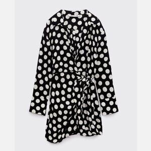 Zara Polka Dot Mini Dress